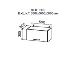 Шкаф верхний ДПГ500 горизонтальный в Заречном - zarechnyj.магазин96.com | фото
