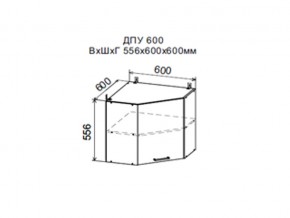 Шкаф верхний ДПУ600 угловой в Заречном - zarechnyj.магазин96.com | фото